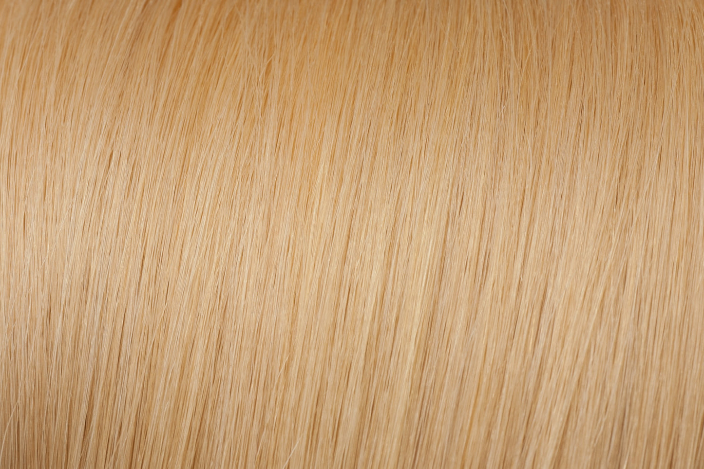 Medium Golden Blonde Hair Extensions #24