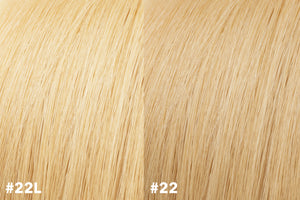 SAVE 20%  Clip-In Extensions #22L