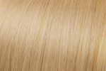 Light Golden Blonde Hair (#22)