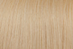 Tape In Extensions: Ash Lightest Blonde #60