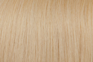 Tape In Extensions: Ash Lightest Blonde #60